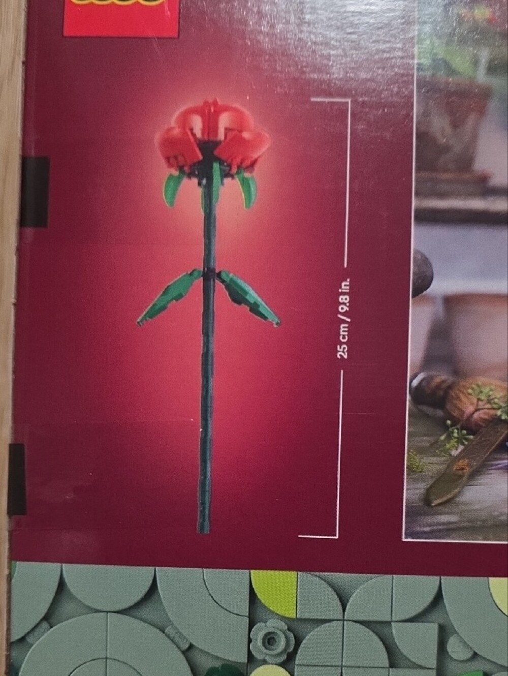 LEGO Roses Botanical Collection Building Set 40460 - Picture 3 of 4